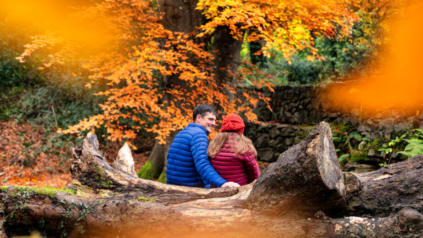Autumnal image of couple in Kilbroney Park